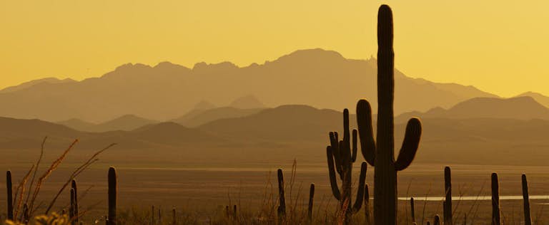 Arizona scenery at dusk with cacti and mountains
