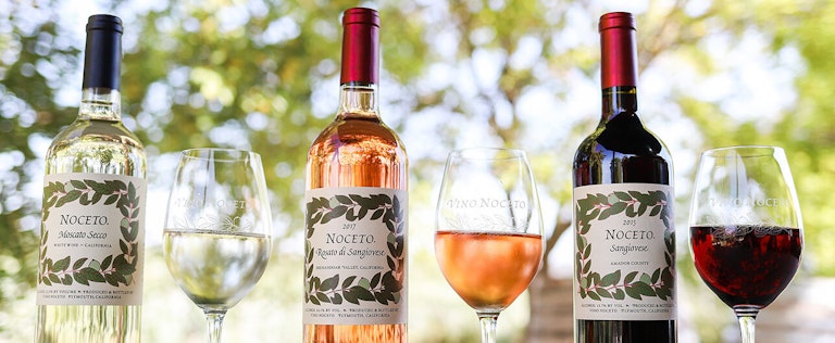Vino Noceto wine bottles for their Moscato Secco, Rosato di Sangiovese, and Sangiovese